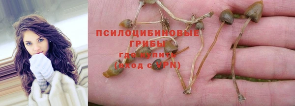 трава Нягань