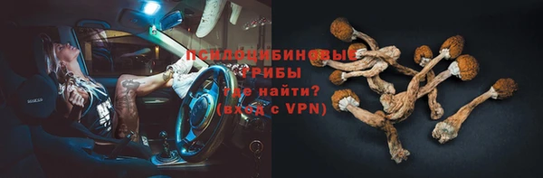 spice Няндома
