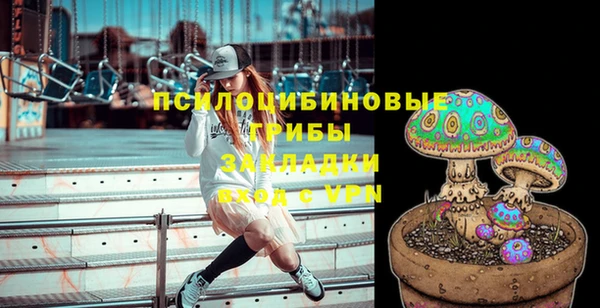 бошки Осинники