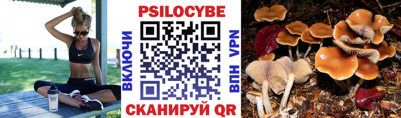 кракен как войти  Орехово-Зуево  Галлюциногенные грибы мухоморы  закладки 